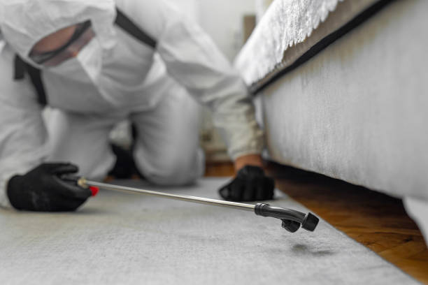 Professional Termite Control technician working in Del Rey, CA